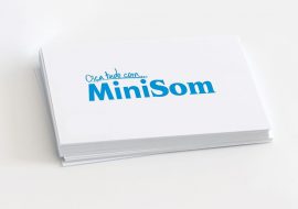 MiniSom